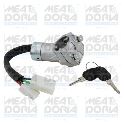 Steering Lock